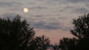Feeling all the feels? Blame the Sturgeon Full Moon