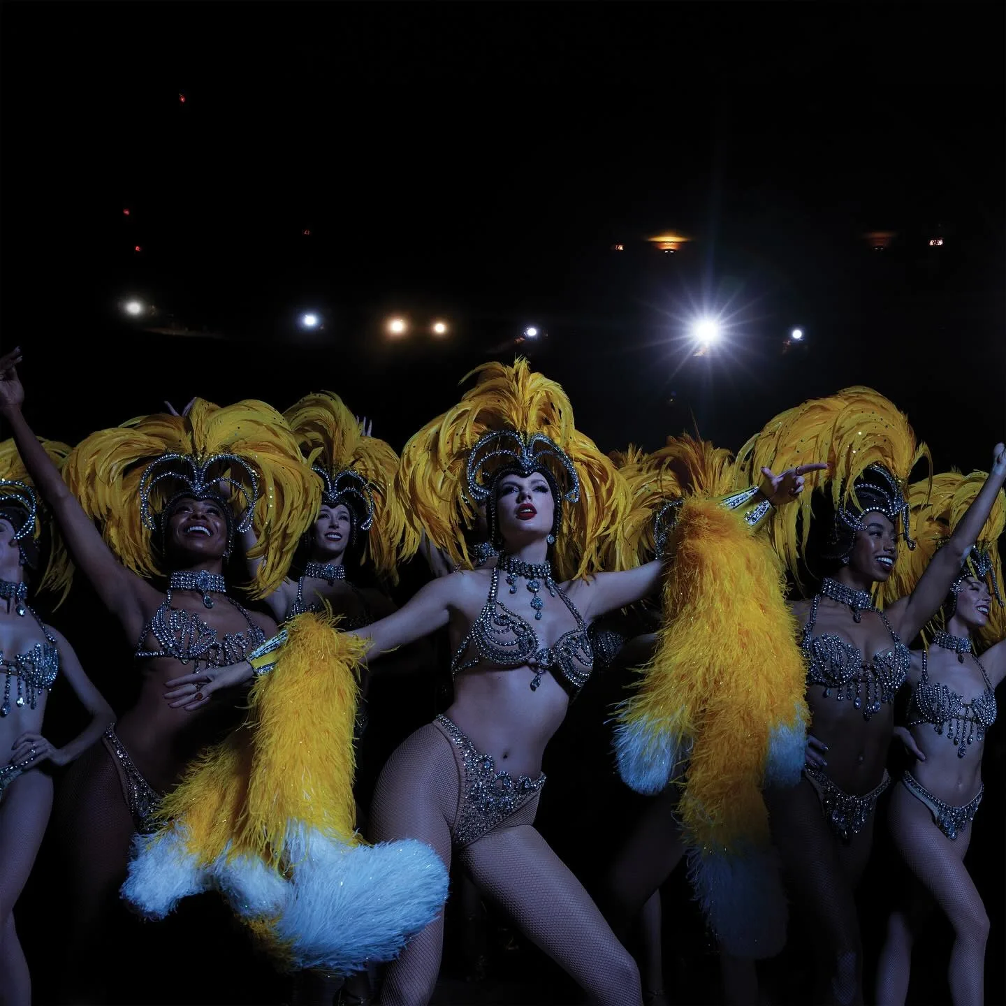one of the taylor swift life of a showgirl covers