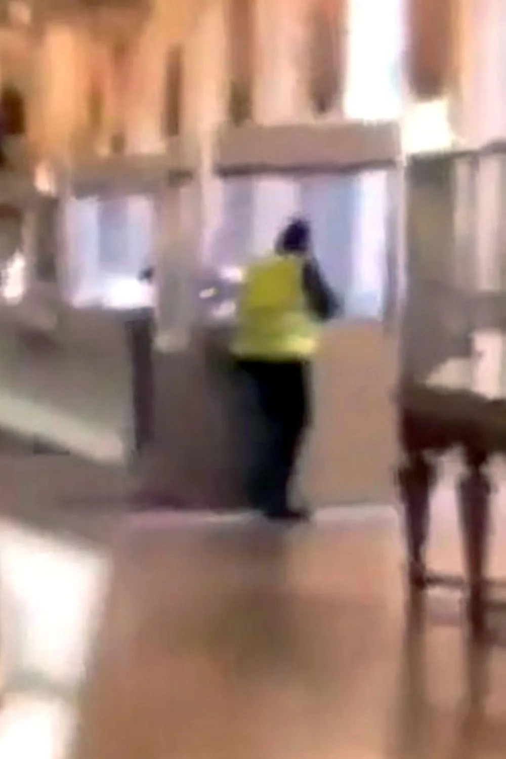 Thieves inside the louvre