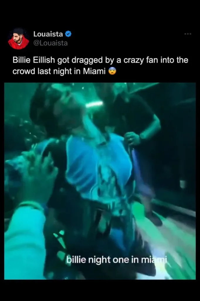 a screenshot from social media of the moment billie got dragged into the crowd at her show