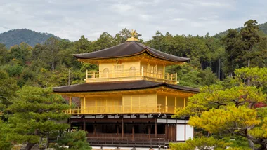 A firsthand journey through Japan’s wonders