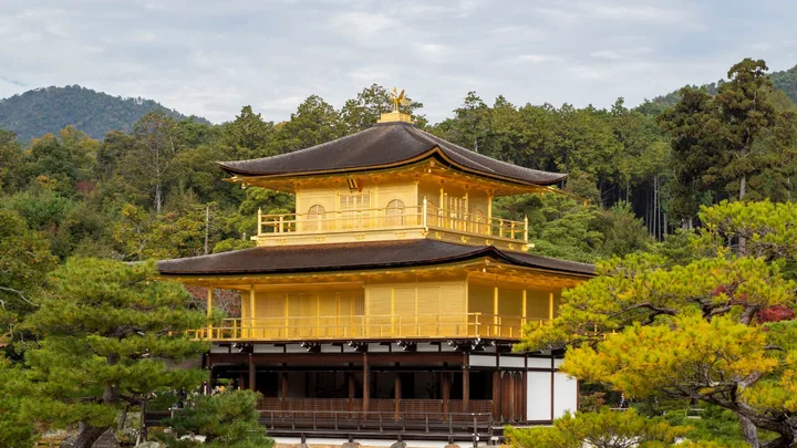 A firsthand journey through Japan’s wonders