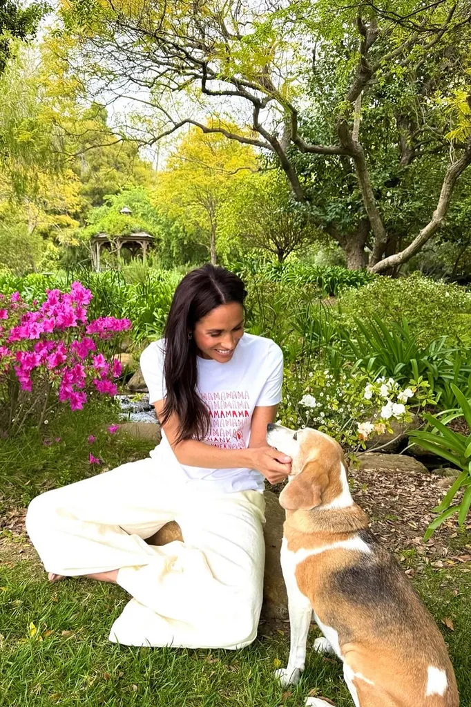 Woman sitting in greass wearing a white t-shirt and pants while patting a dog.