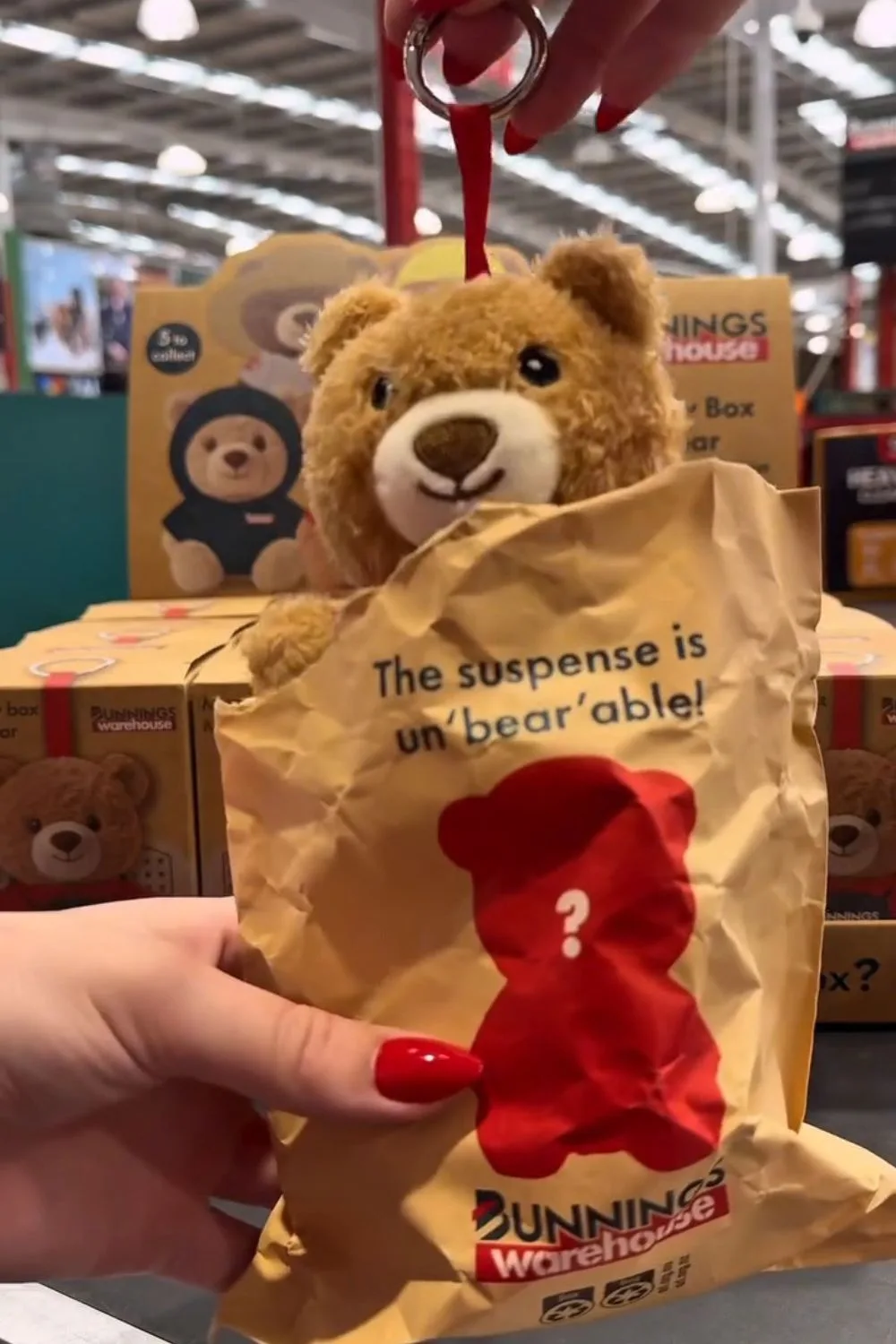 Bunnings Warehouse Mystery Box Mini Bear./Pic: Bunnings