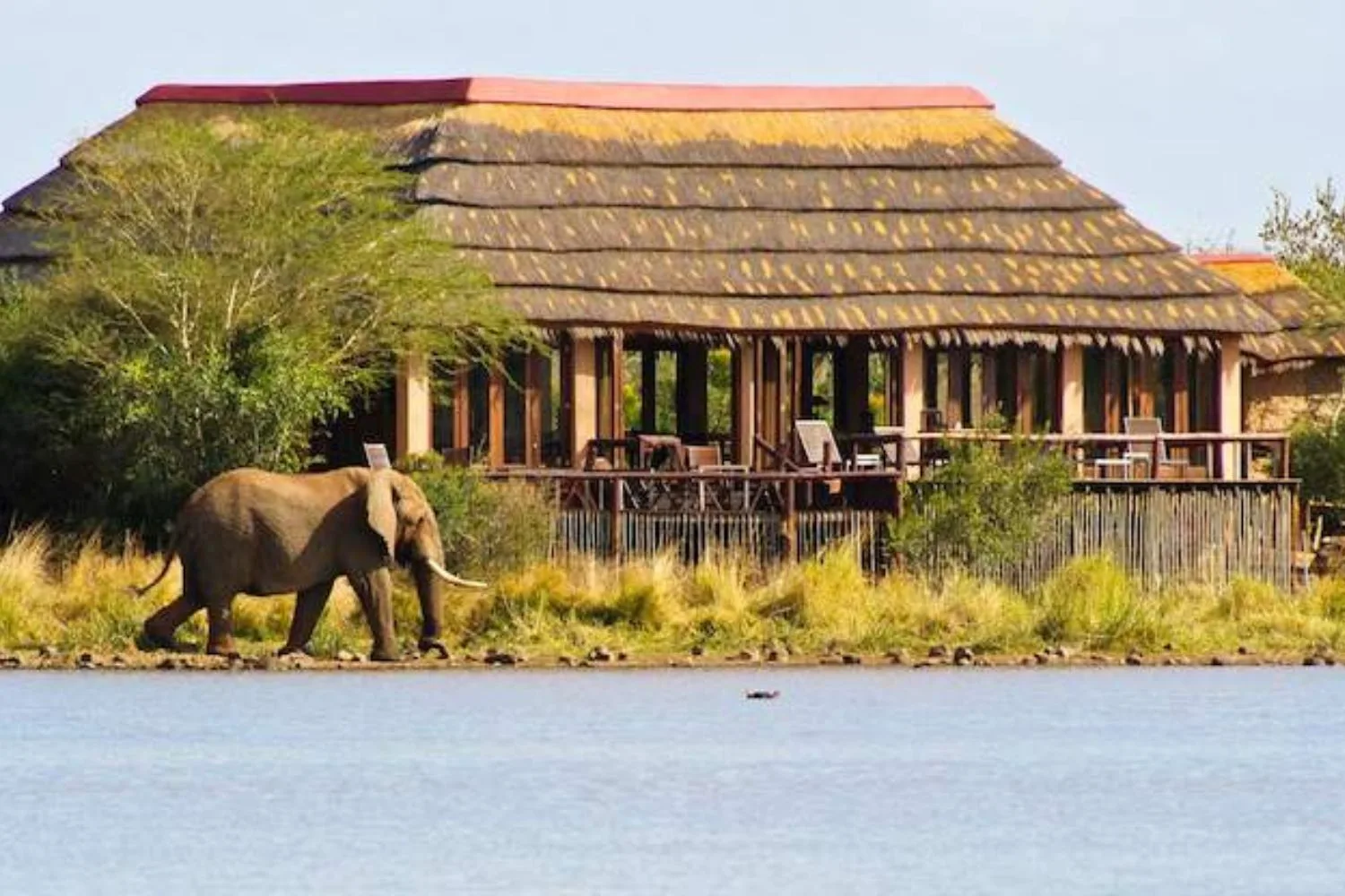 I&rsquo;m a Celebrity&hellip; Get Me Out of Here!./Pic: 10