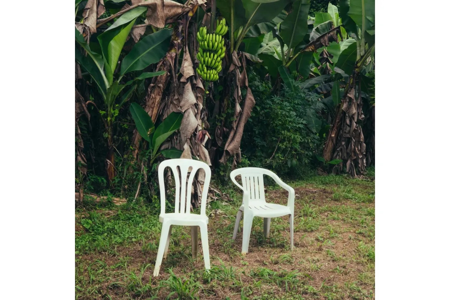 Debí Tirar Más Fotos album art