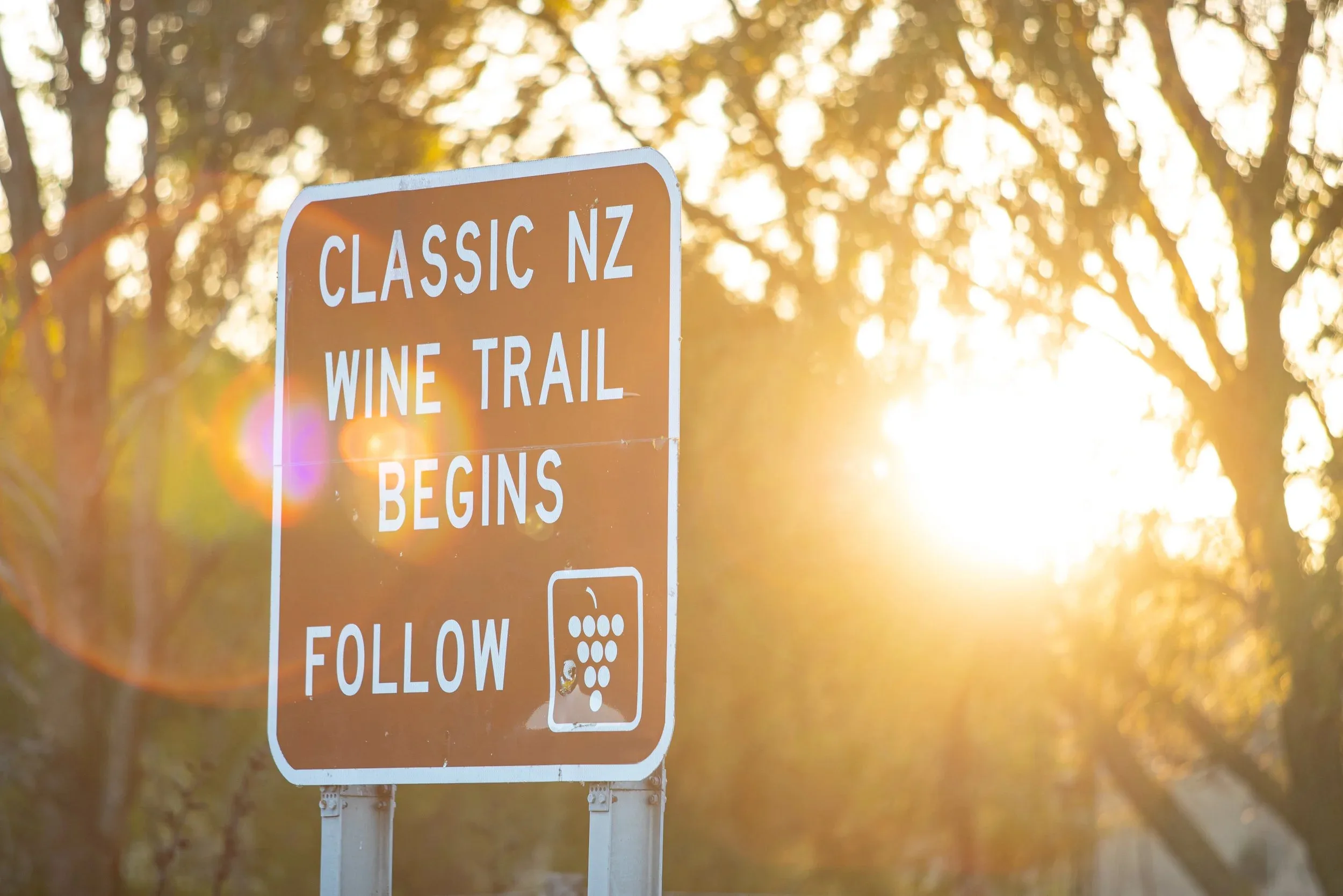 classic wine trail new zealand