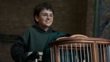 HBO Max's Harry Potter series
