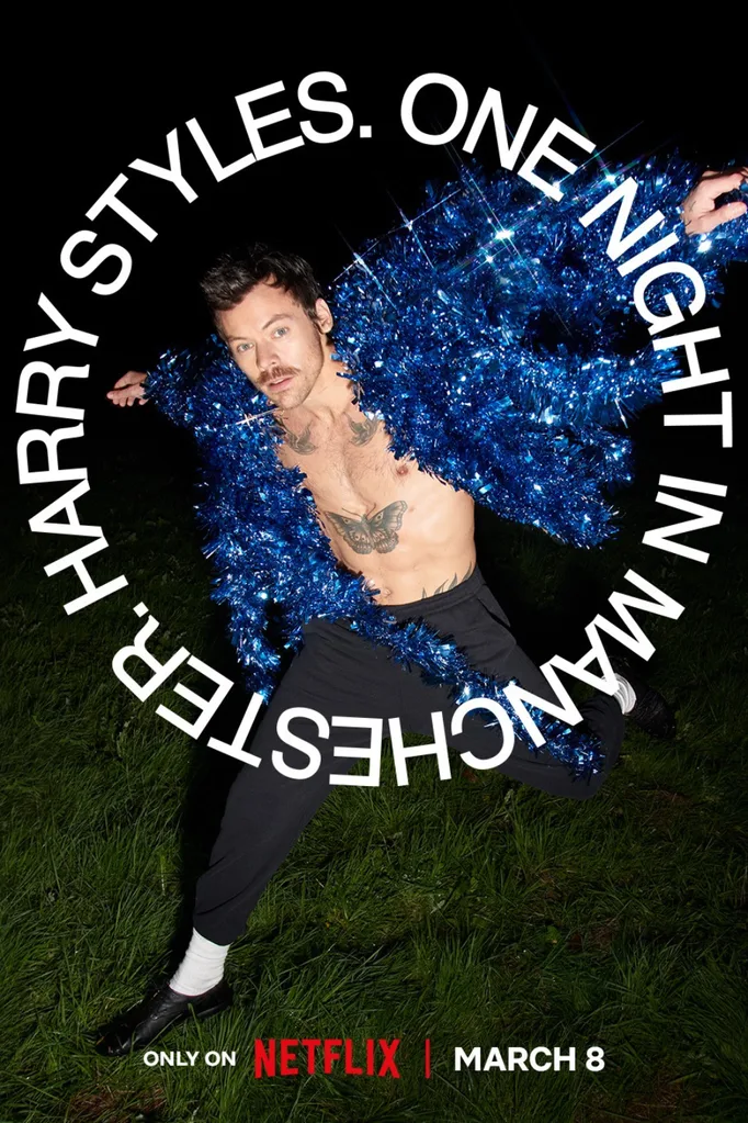 Harry Styles Netflix Concert