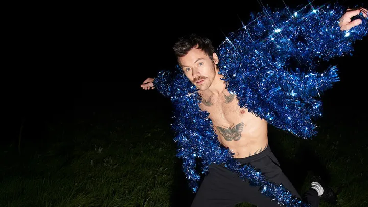 Harry Styles Netflix concert special