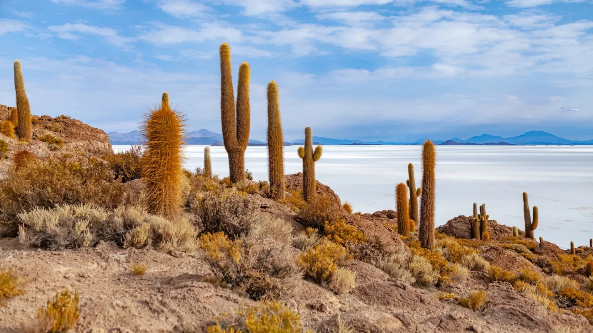 Inspiring Vacations South America sale