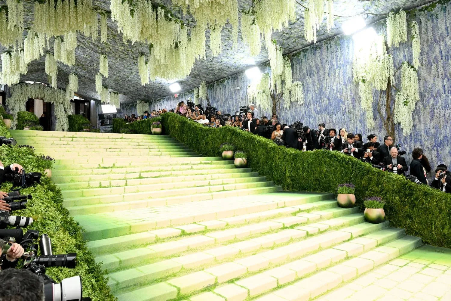 Met Gala 2026 red carpet.