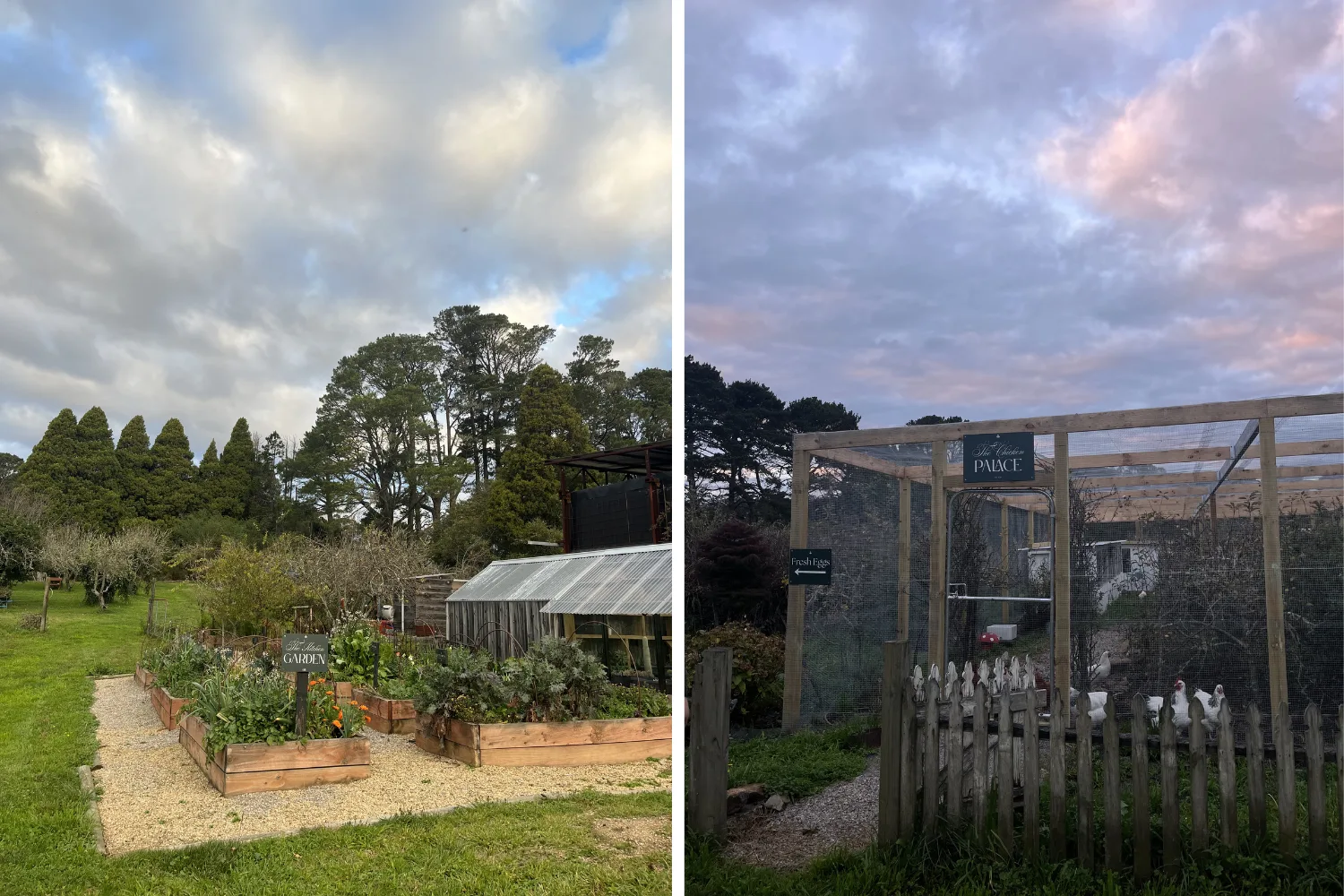 The Machinery Shed on Logan Brae Orchard.
