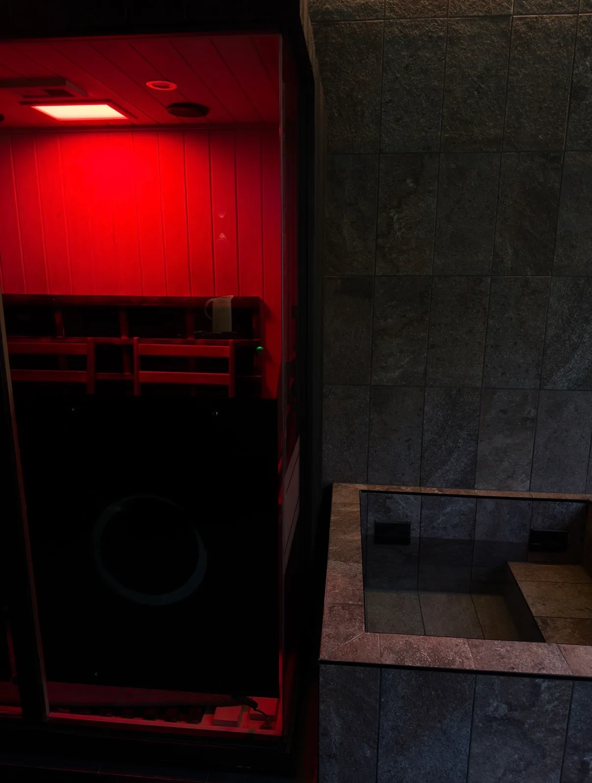 red light sauna and cold plunge pool