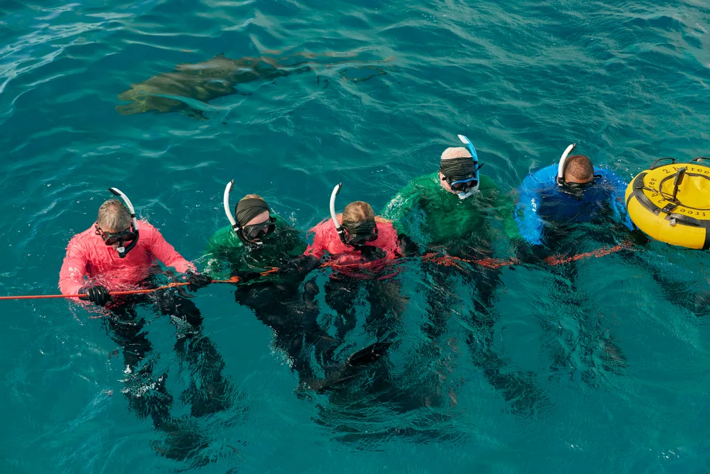 people holding on to rope in sharky waters