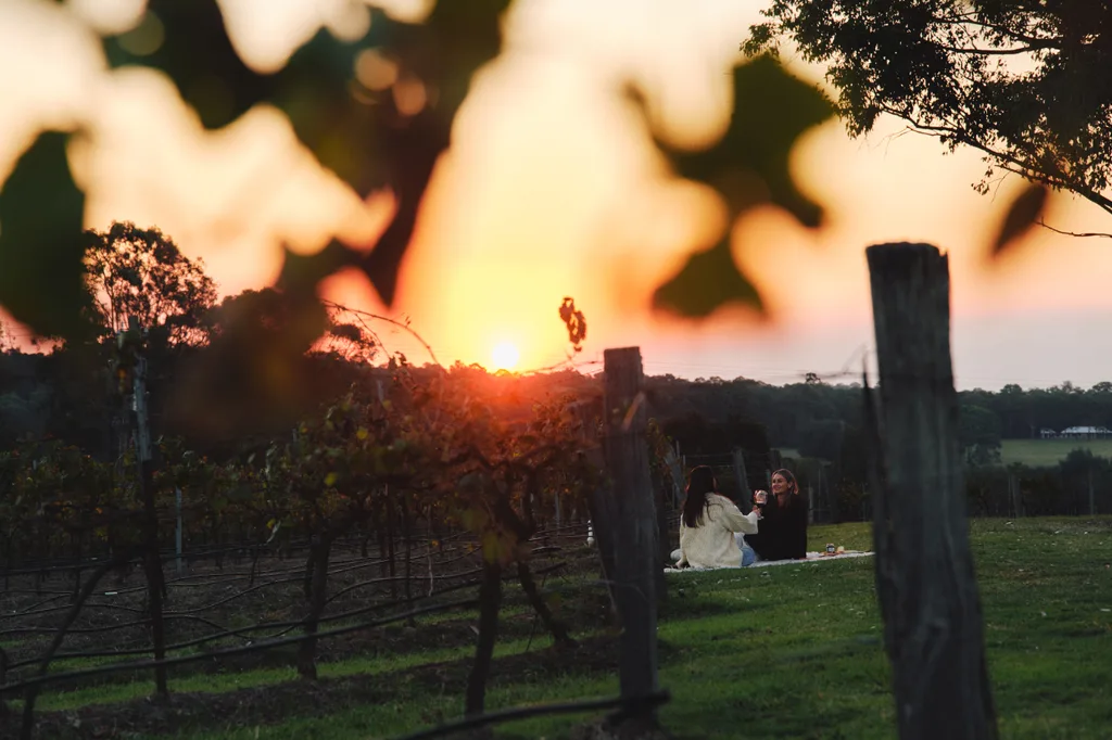 Two friends enjoy a vineyard picnic as the sun sets.