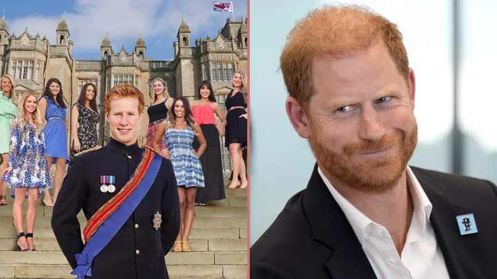 Prince Harry finally reacts to the insane reality show that stole his identity, and his response was gold