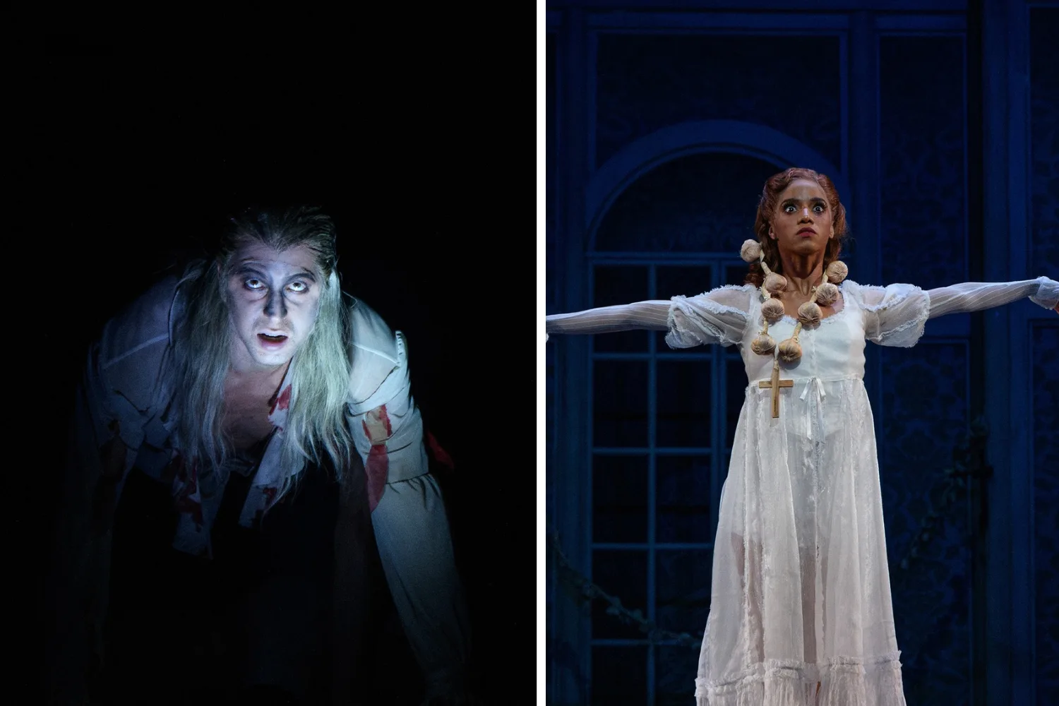 WA Ballet dracula