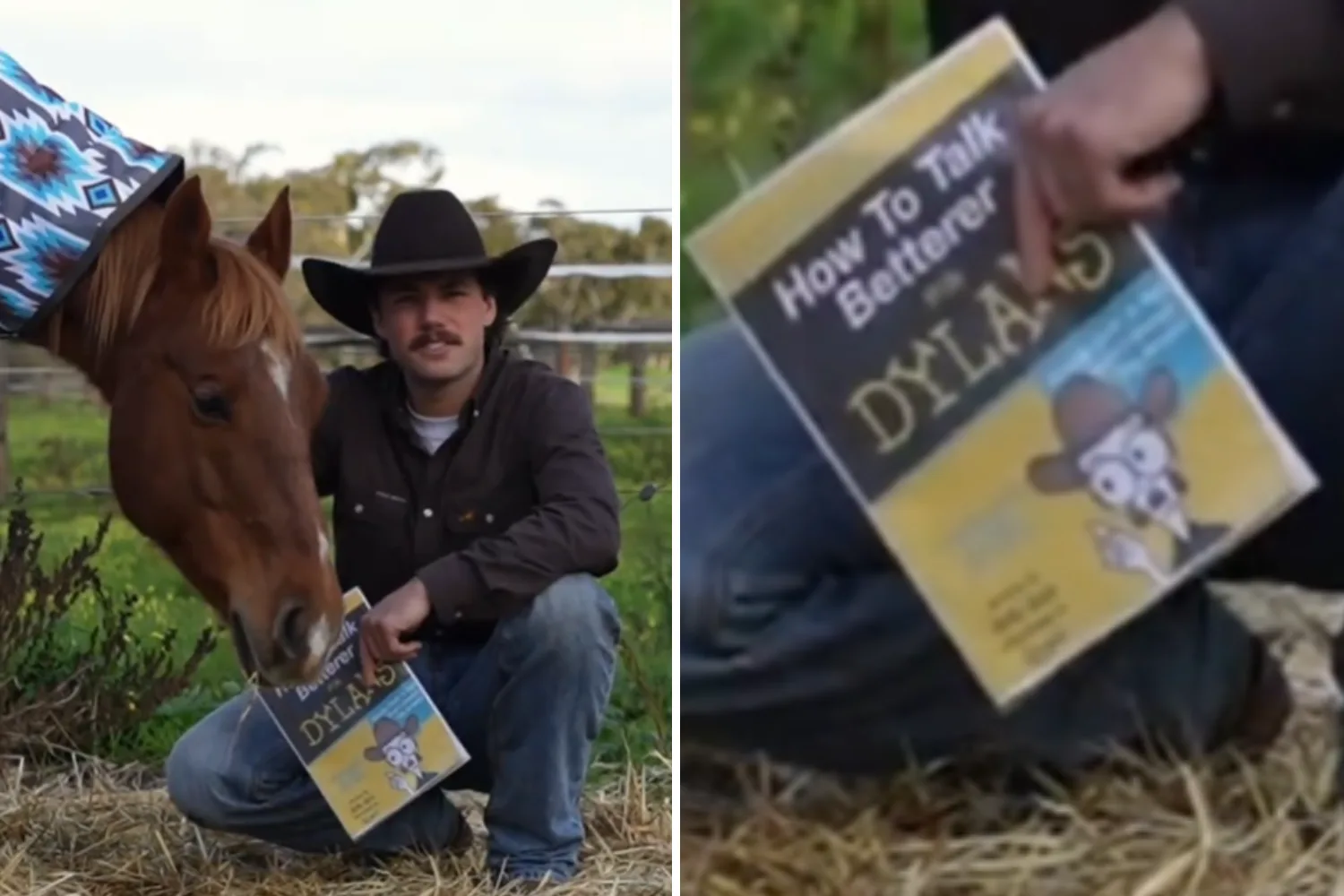 Farmer Dylan 