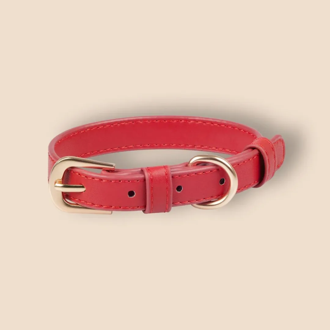 Mia Coosh pet collar