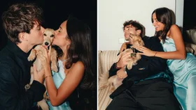 From the F1 paddock to local cafes, pets are going everywhere with us now