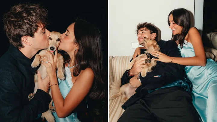 From the F1 paddock to local cafes, pets are going everywhere with us now
