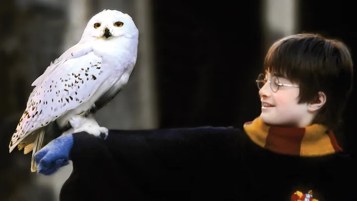 Attention muggles and Harry Potter fans: there’s a magical delivery coming to Sydney this weekend