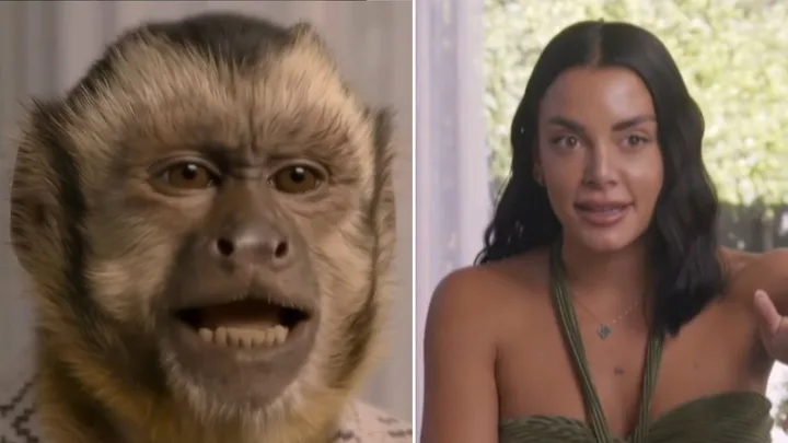 EXCLUSIVE: Channel 9 responds to The Block fans&rsquo; boycott threats over AI use&nbsp;