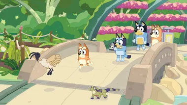 Bluey the game Bluey's Happy Snaps