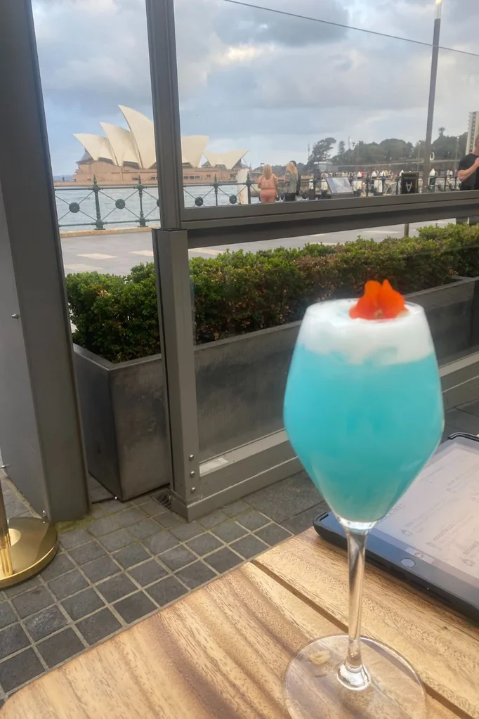 6head cocktail