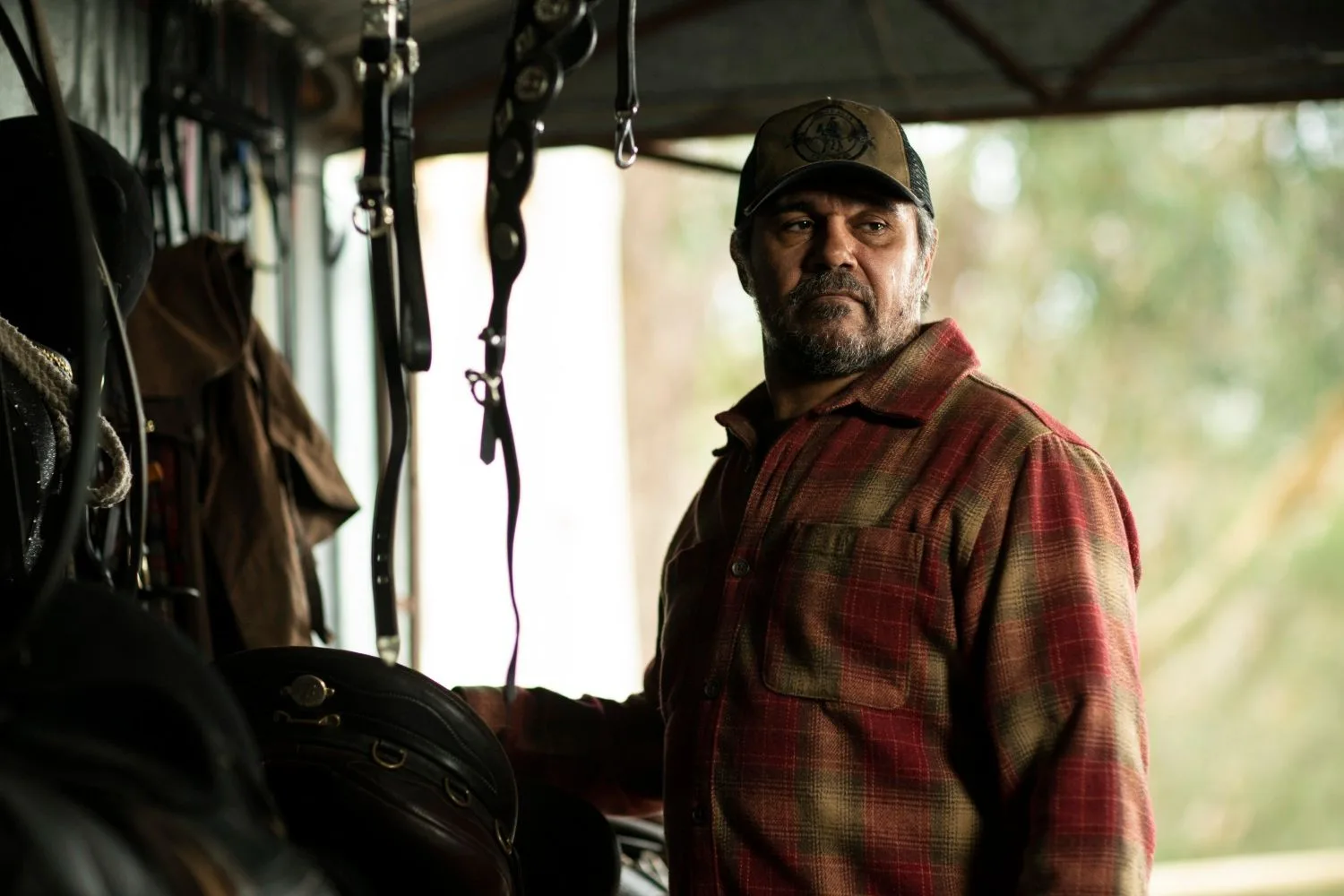 Aaron Pedersen-in-new-tv-show-high-country