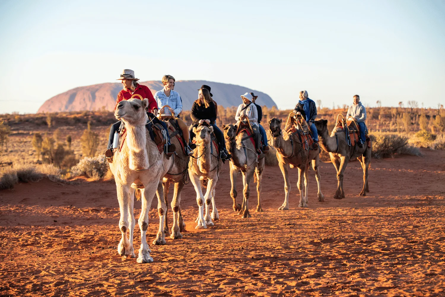 camel tour uluru