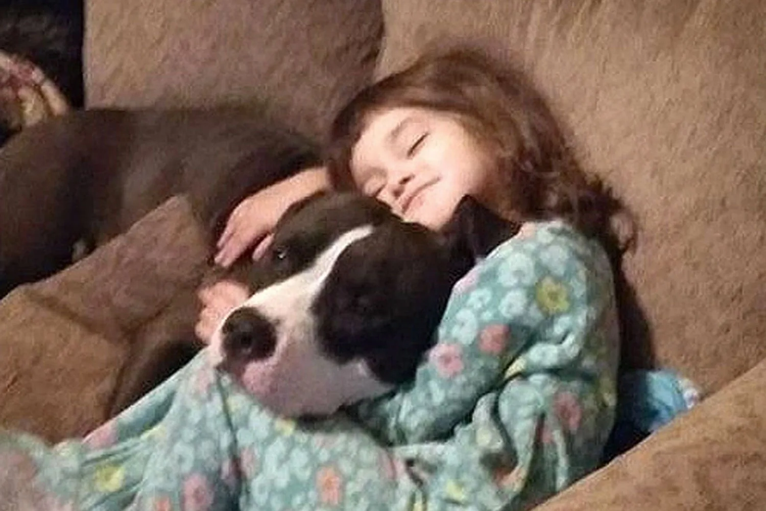 4-year-old girl dies after accidentally shooting herself with a gun in her grandmother’s purse