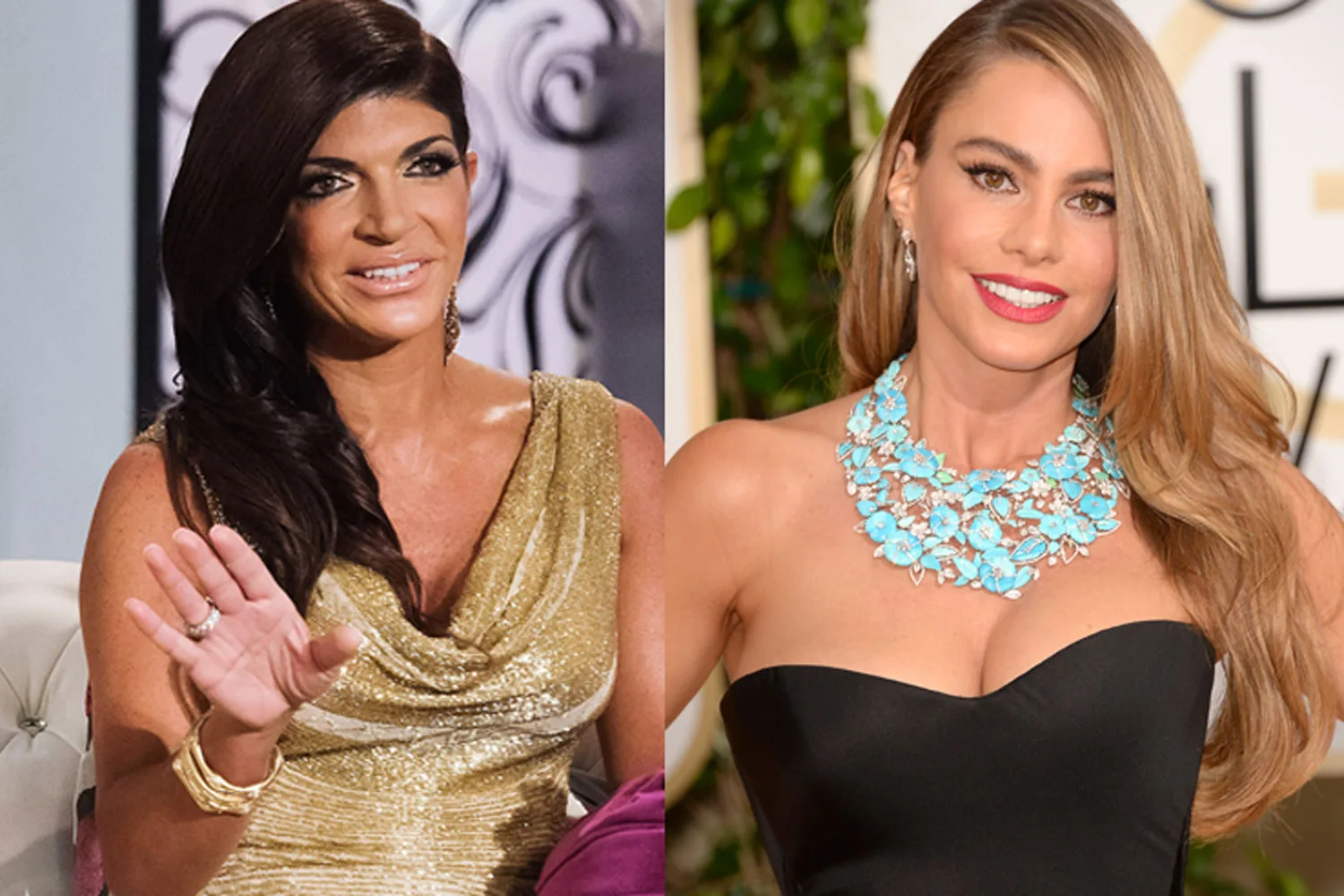 Teresa Giudice reveals Sofia Vergara should be nice because she’s an immigrant