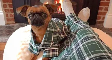 Stop What You Are Doing and Get Matching Pyjamas with Your Dog