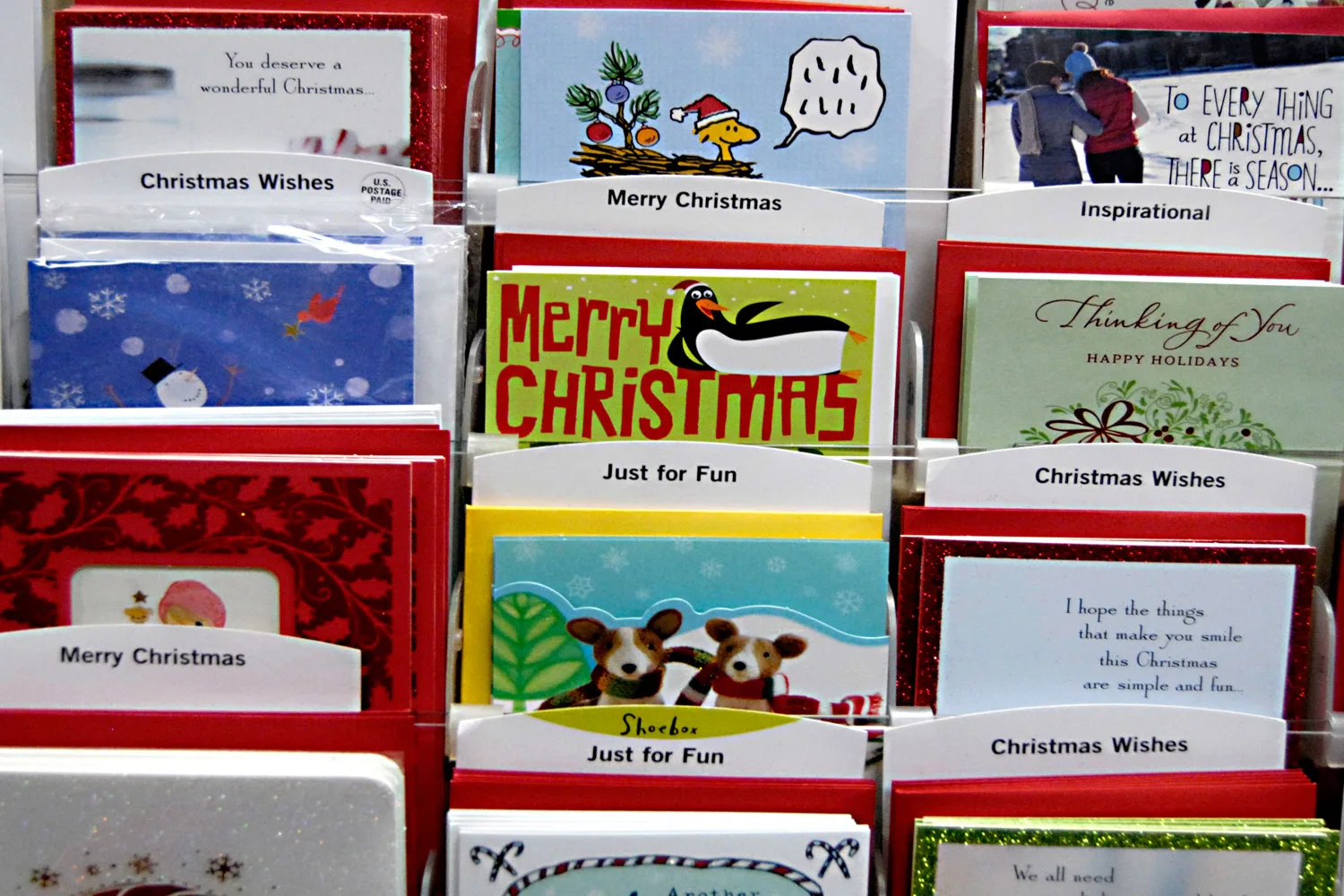 Can you see this hilarious ‘typo’ in this Christmas card?