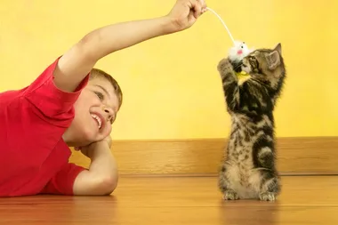 Why cats could be the key to beating asthma