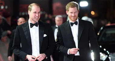 Prince William harry
