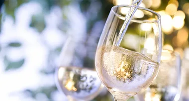 wine