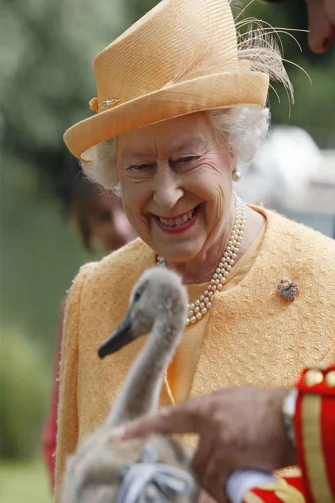 Queen Elizabeth