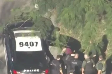 florida shooting