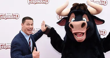 john cena ferdinand