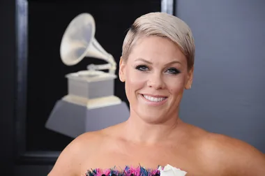 Pink: the superstar’s net worth and career highlights revealed