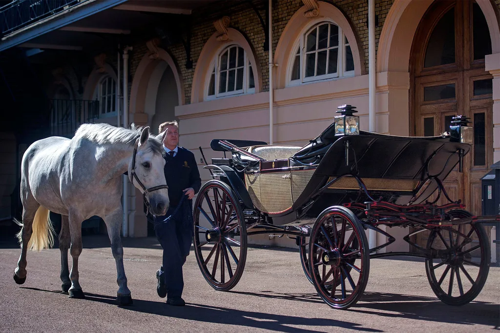 royal wedding