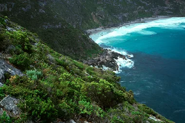 Kangaroo Island is the destination you never knew you needed to visit