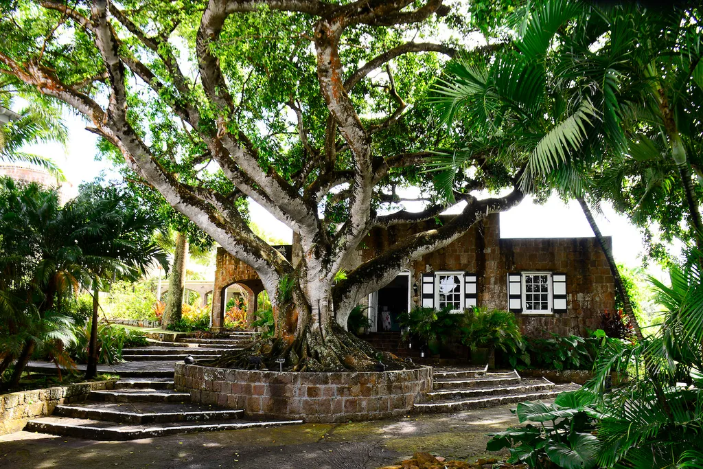 Montpelier Plantation and Beach, Nevis