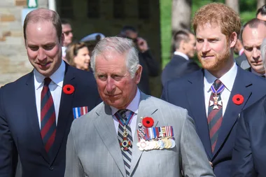 Prince Charles shares never-seen-before portraits of Harry and William
