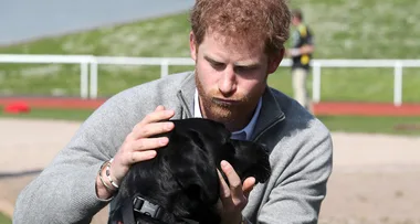 Prince Harry and Meghan Markle name their new black labrador