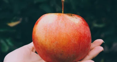 Police investigating needle found in Sydney apple