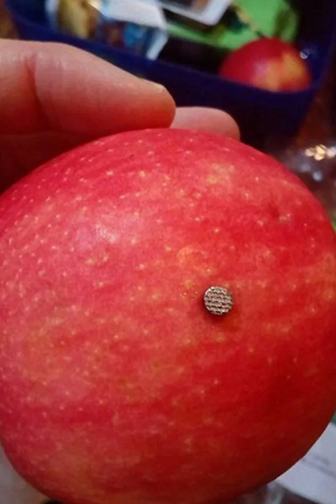 apple
